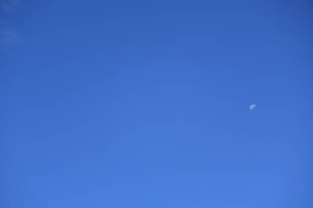 in early morning