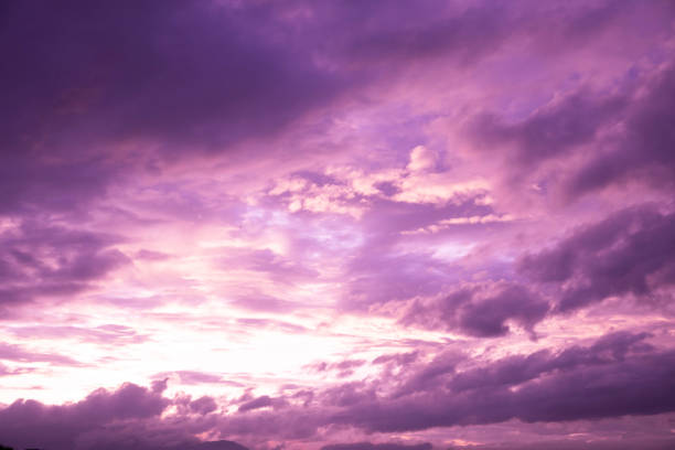 Dreamy purple sky background and sunlight with copy space.