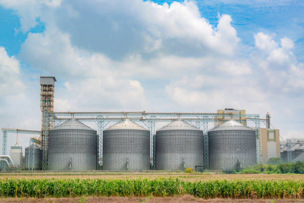 Large metallic grain silos on a farm with cornfields in the foreground, set against a blue sky with clouds.