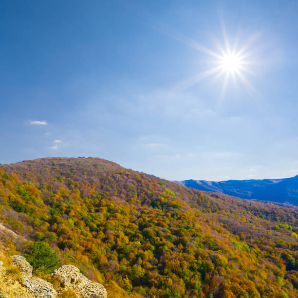 mountain valley  at the bright sunny autumn day