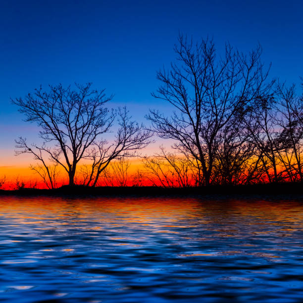 forest silhouette on calm lake coast reflected in a water at the twilight