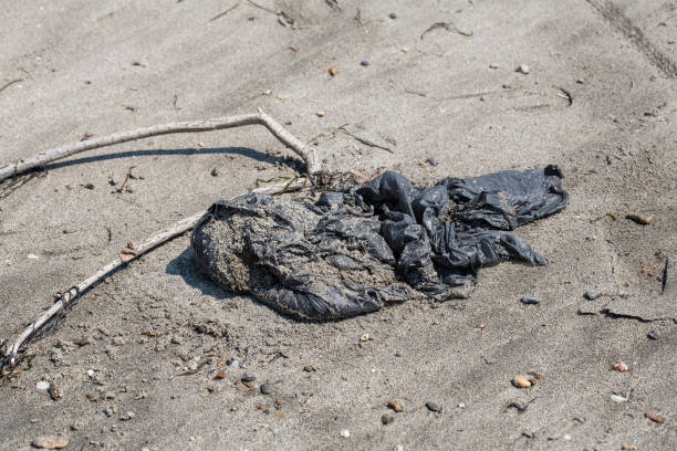 Black plastic bag laying on a sandy beach with driftwood nearby