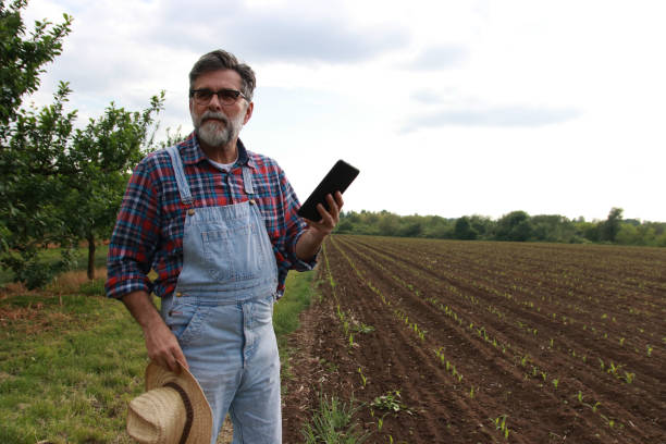 istock Senior farmer control his agriculture with technology 2166984048