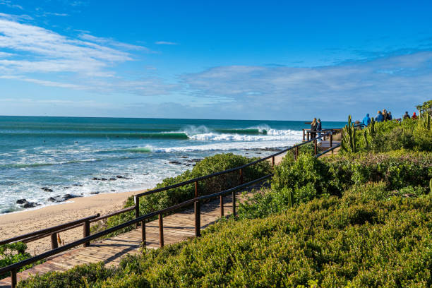 istock Surfing the perfect wave, Jeffreys Bay 2166986356