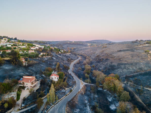 istock After wildfire at North Attica 2166986760
