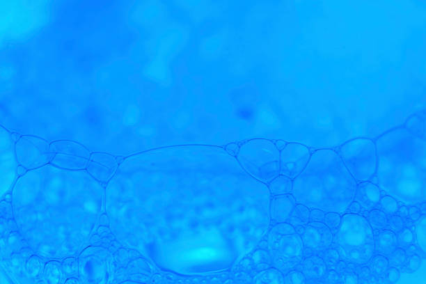 Liquid Soap Copy Space Minimal Text Idea