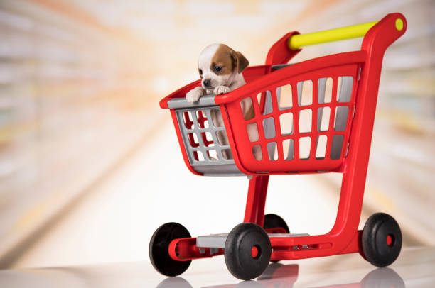 istock A dog in a shopping cart 2166991794