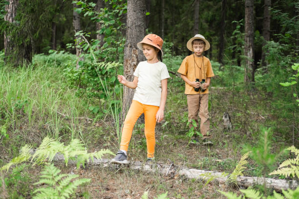 Children are exploring the forest, hiking in the forest