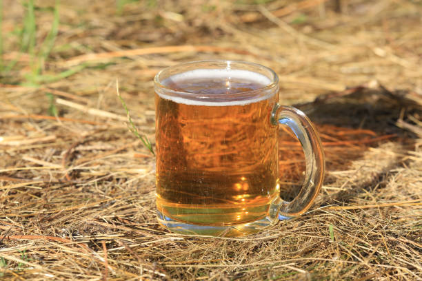 Glass of beer on autumn dry grass