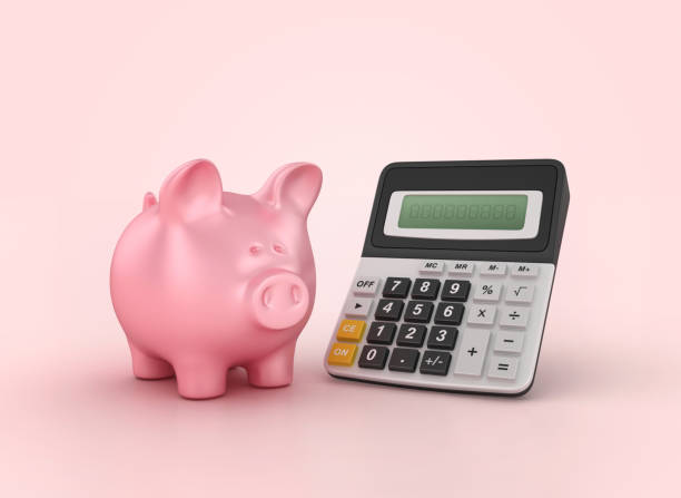 istock 3D Calculator with Piggy Bank 2167005314