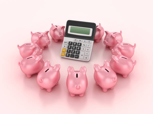 istock 3D Calculator with Piggy Bank 2167005321