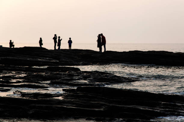 idyllic landscape on the beach in the afternoon