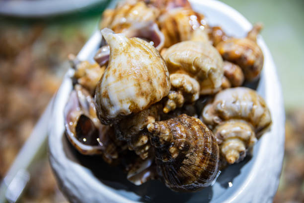 istock Cluster of Sea Snails 2167008506