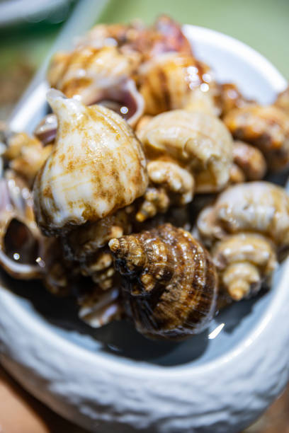 a pile of sea snails with brown and white stripes on their shells. They are stacked together, displaying a variety of shapes and colors, highlighting their natural beauty