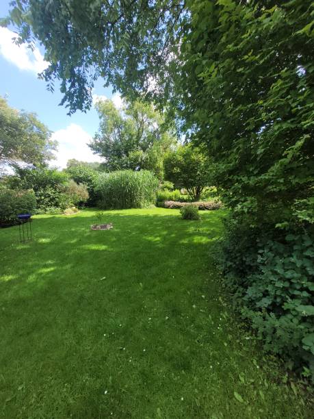 istock Summer Garden Overflowing with Greenery Against a Bright Blue Sky 2167011500