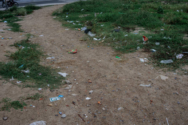 garbage in the forest