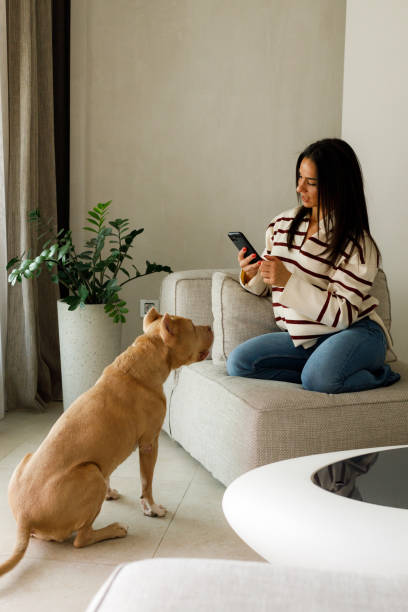 istock Special moments with a pet 2167019660