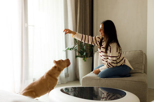 istock Special moments with a pet 2167019680