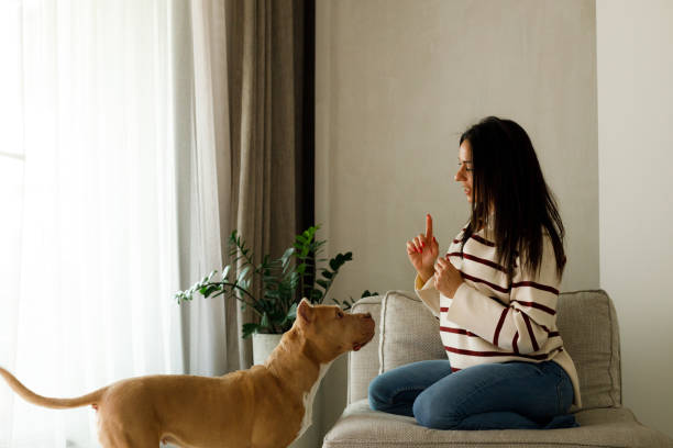 istock Special moments with a pet 2167019682