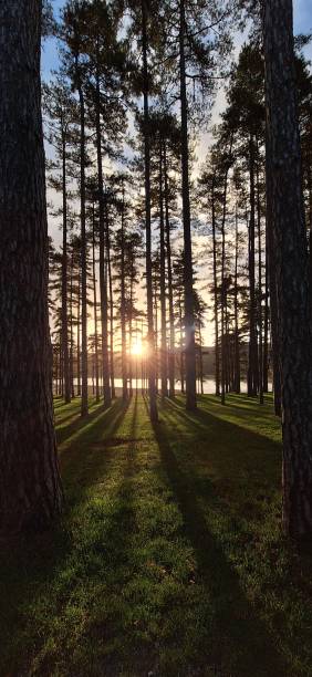 istock Sun rising on the Saint Ferreol lake (Occitanie) 2167020666
