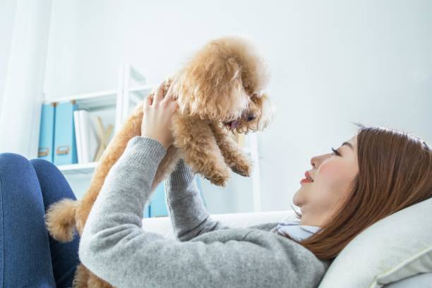 istock A woman is lying on the sofa with a dog 2167024773