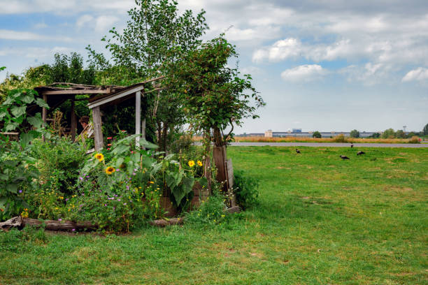 urban garden in Berlin at Tempelhofer Feld