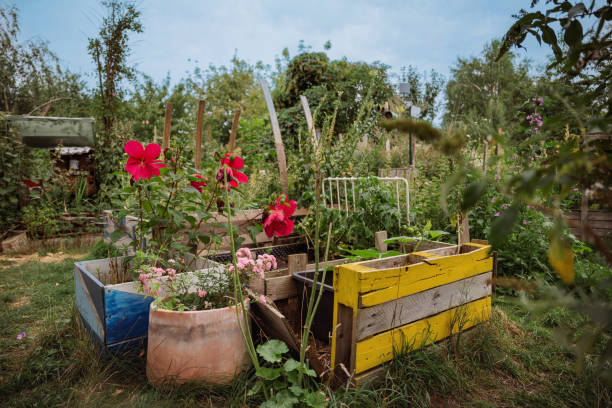 flower in beds and pots in urban garden in Berlin at Tempelhofer Feld