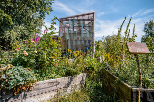 raised beds with wild flowers in public urban garden in Berlin in Mauerpark