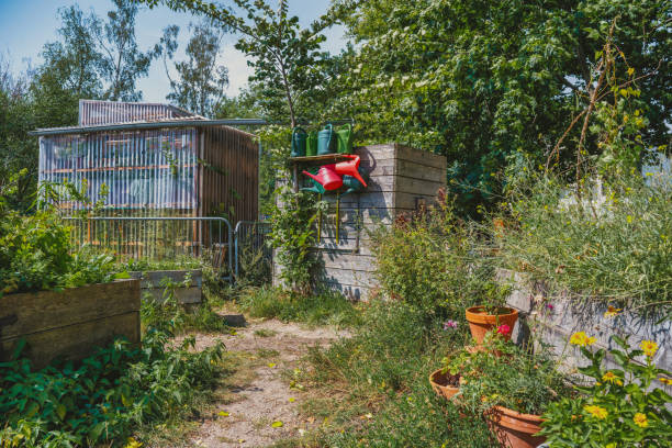 raised beds with wild flowers in public urban garden in Berlin in Mauerpark