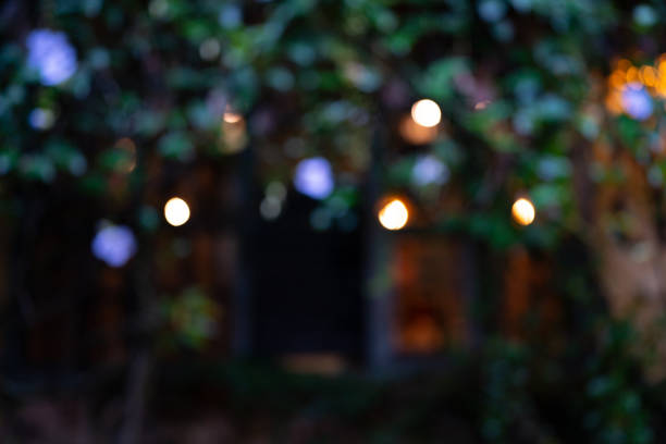 istock Abstract bokeh background of Christmas tree lights. Christmas background. 2167029778