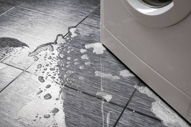 istock Top view a breakdown of a household washing machine. 2167034546
