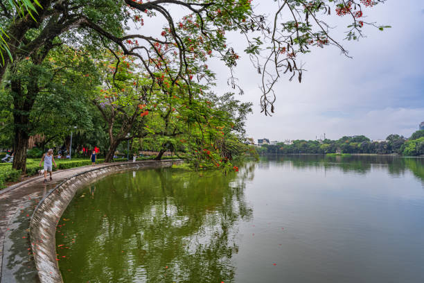 Hoan Kiem lake or Sword lake, Ho Guom in Hanoi, Vietnam with Turtle Tower, on clear day with blue sky and white clouds Hanoi, Vietnam - 26 June 2024 : Hoan Kiem lake or Sword lake, Ho Guom in Hanoi, Vietnam with Turtle Tower, on clear day with blue sky and white clouds ho guom stock pictures, royalty-free photos & images
