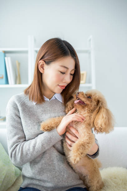 istock woman playing with cute dog 2167035374