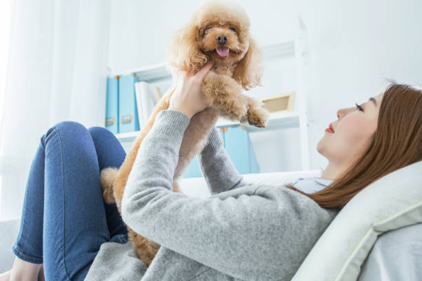 istock woman playing with cute dog 2167036041
