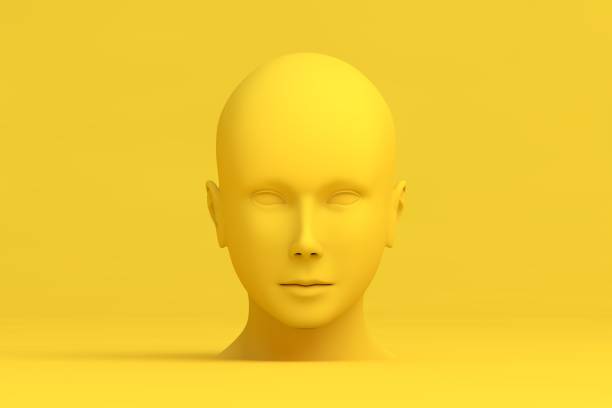 istock 3D Women head 2167037793