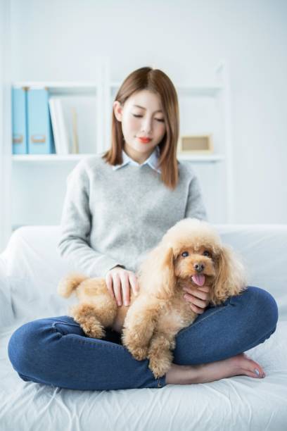 istock A young woman is sitting on a couch with a small dog 2167038116