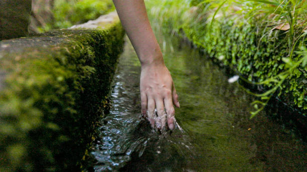 Woman's hands in water canal (Levadas) in lush environment, Madeira
