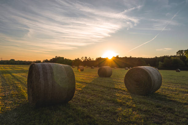 istock Nature und Landscape 2167039598