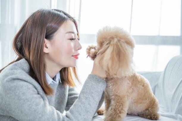 istock A woman is lying on the bed with a dog 2167040097