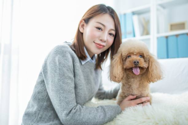 istock A young woman is sitting on a sofa with a toy poodle 2167041035