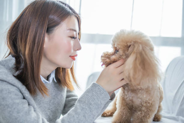 istock woman playing with cute dog 2167041048