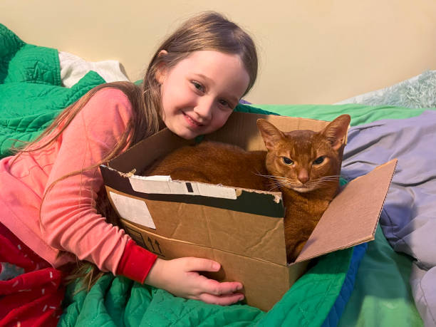istock Girl With Cat in Box 2167042768