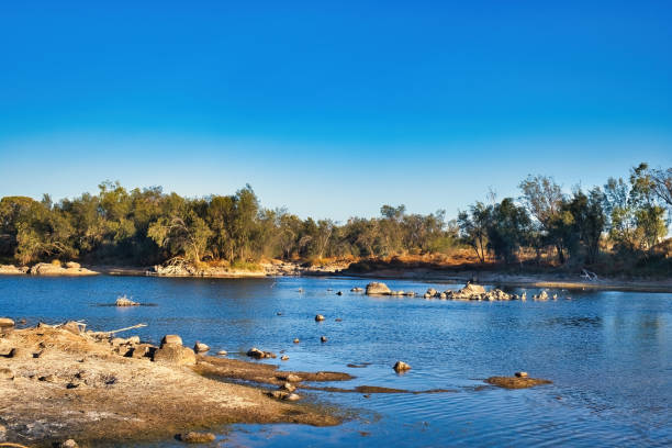 The Murchison River flowing through the outback in the Geraldton area, Western Australia. Rocky, forested river bank, rocks protruding above the water