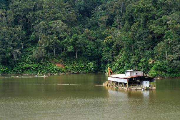 istock A serene view of a floating house on a lake surrounded by dense forest. 2167043782