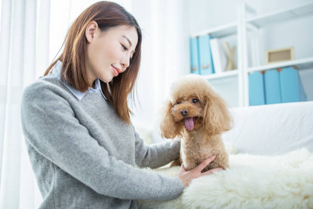 istock woman playing with cute dog 2167044021