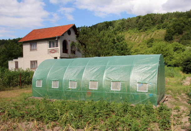 istock Greenhouse in the garden 2167044696