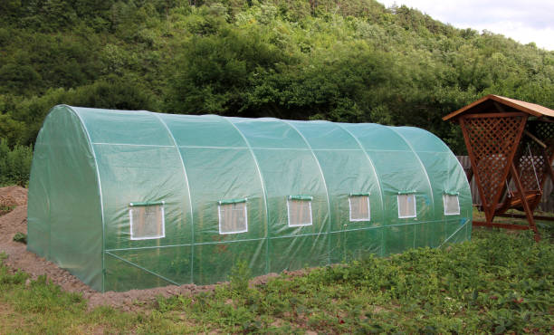 istock Greenhouse in the garden 2167044699