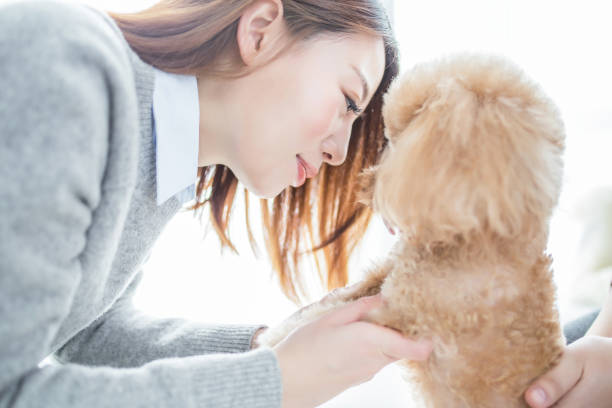 istock woman playing with cute dog 2167046132