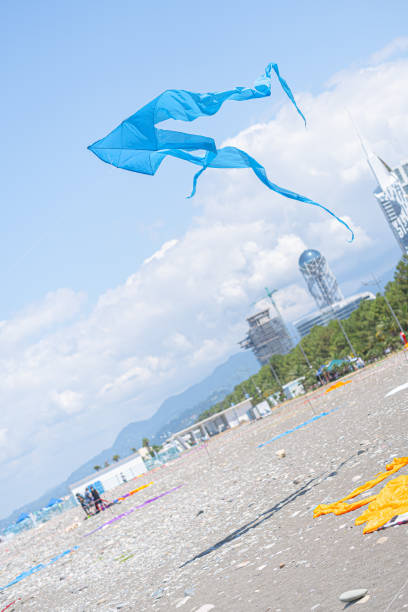 Blue kite in the sky above the beach.