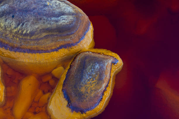 colors and textures of rioTinto mining